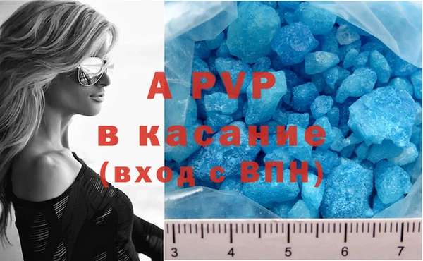 прущие грибы Волоколамск