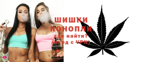 сатива Верея
